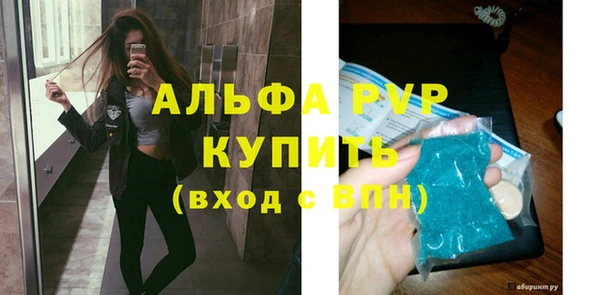 стафф Новокубанск