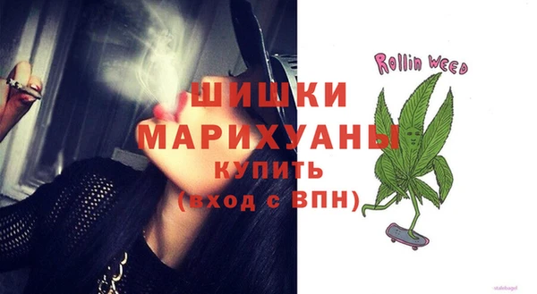 стафф Новокубанск