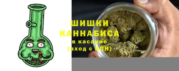 дурь Новодвинск