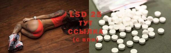 стафф Новокубанск