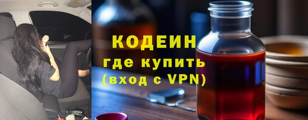дурь Новодвинск