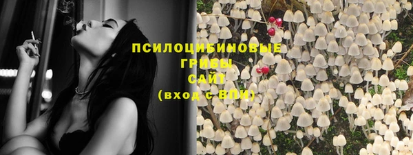 стафф Новокубанск