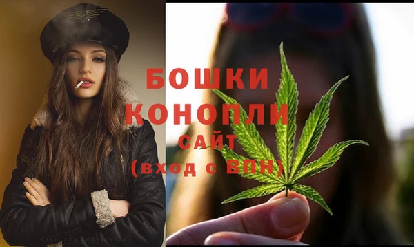 стафф Новокубанск