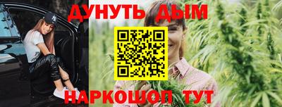 гидра Дубна