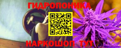 гидропоника Будённовск