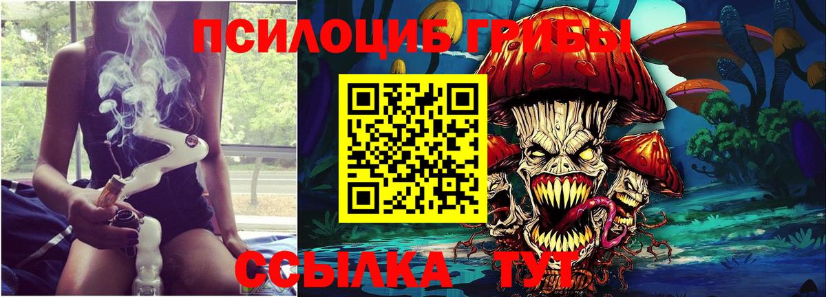 Псилоцибиновые грибы Cubensis  Вход с VPN  Кунгур  Псилоцибиновые грибы Magic Shrooms 